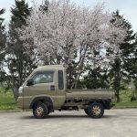 5月パドックニュース2
